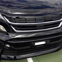 vellfire603004457743